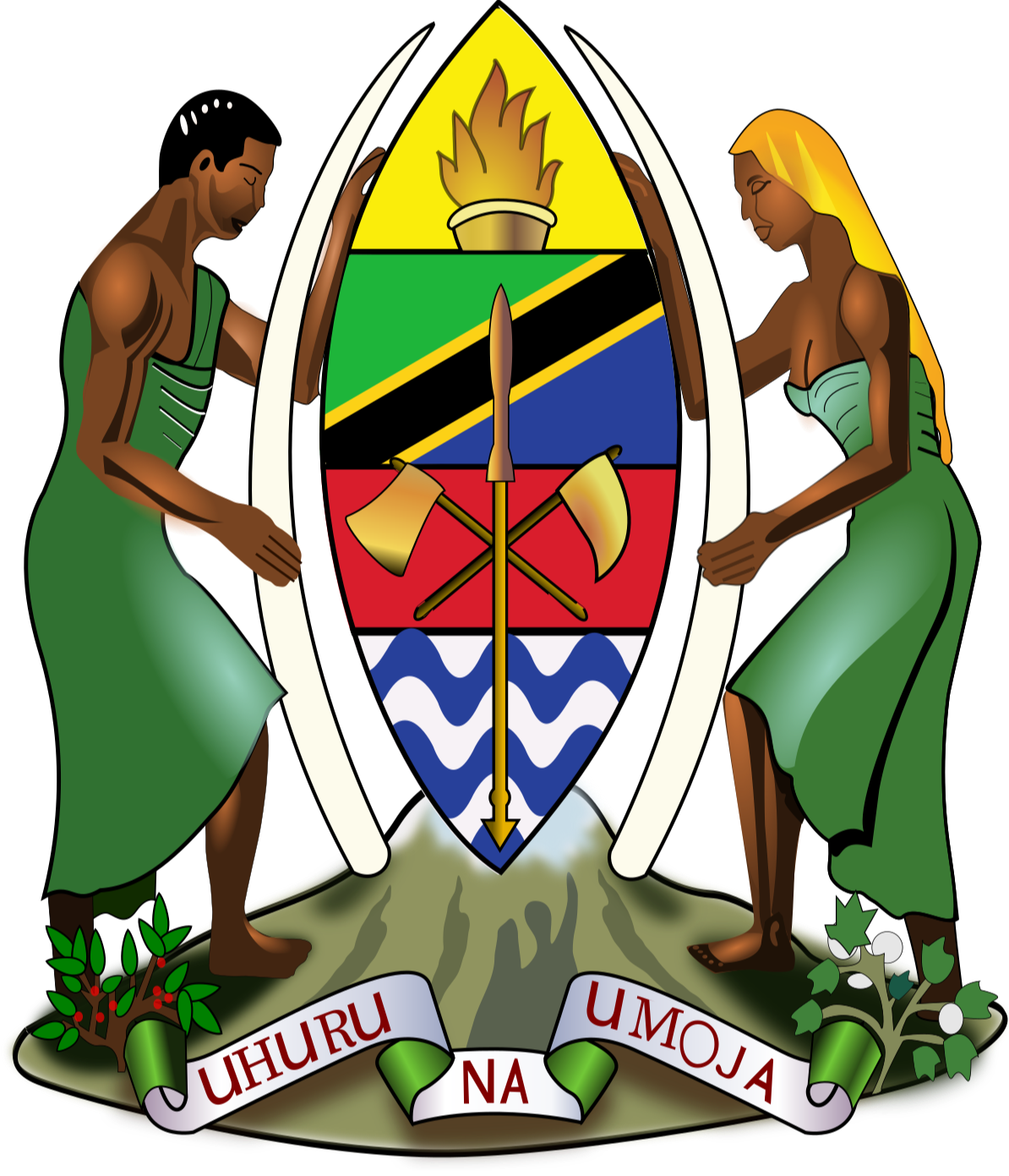 Wizara ya Maji