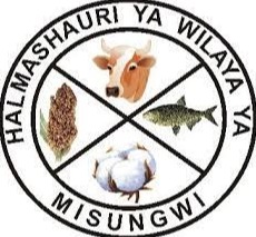 Halmashauri ya Wilaya ya Misungwi