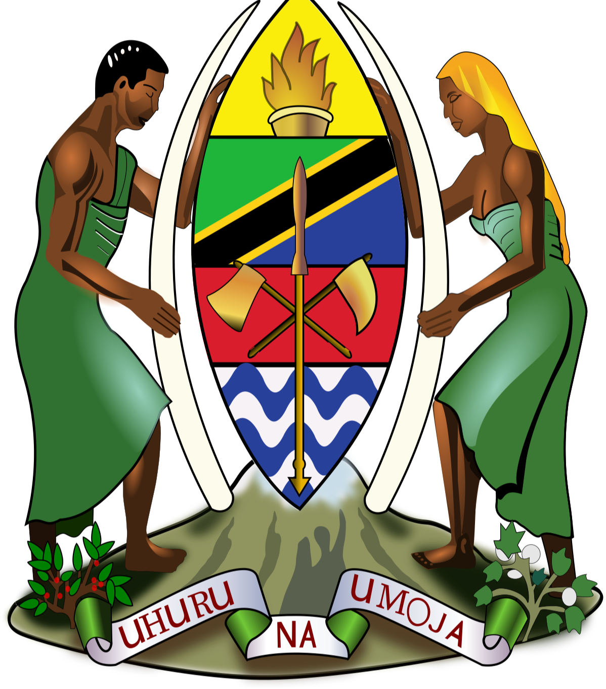 Wizara ya Maendeleo ya Jamii, Jinsia, Wanawake na Makundi Maalum (WMJJWM )