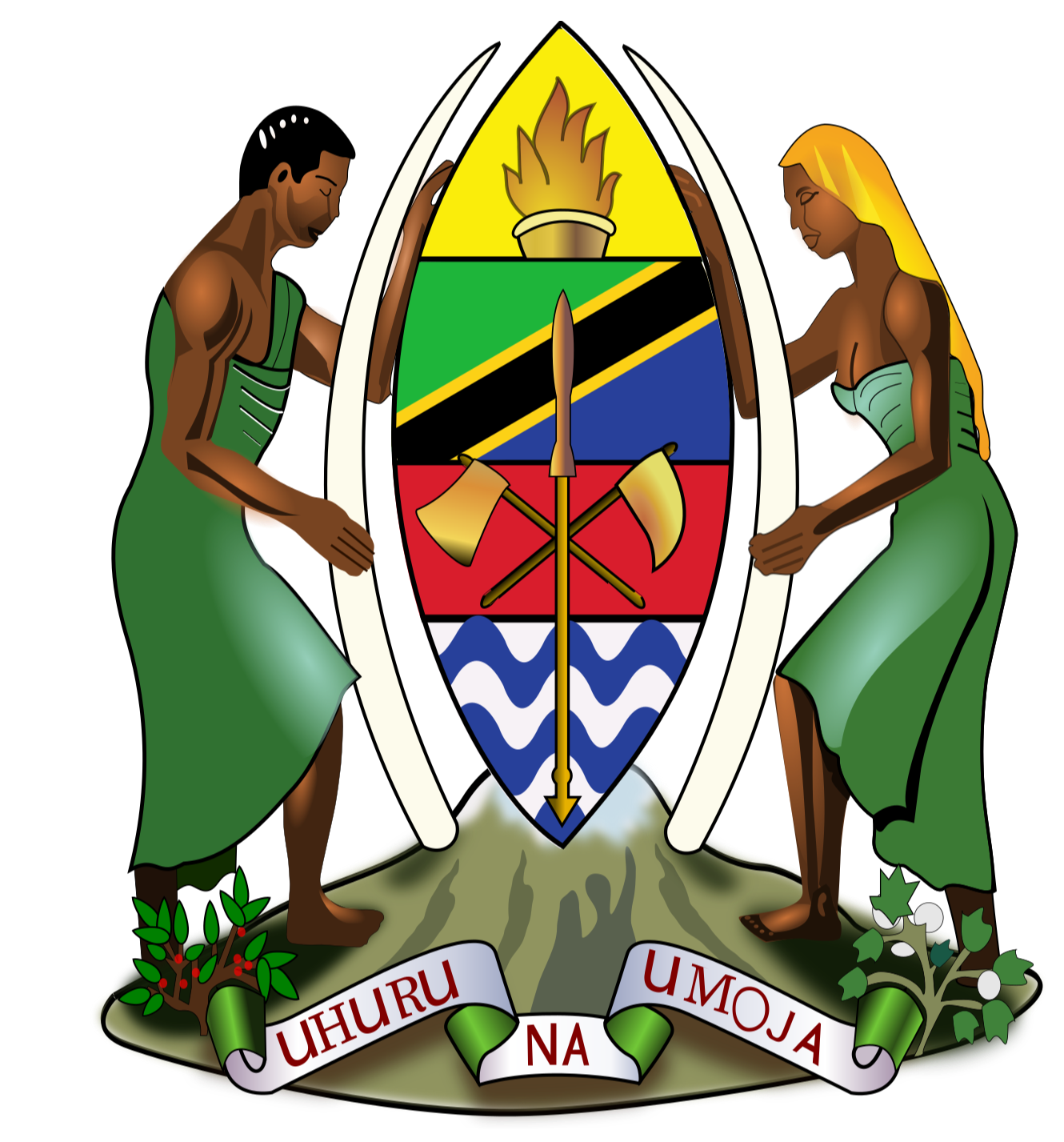 Ofisi ya Rais - Maendeleo ya Vijana